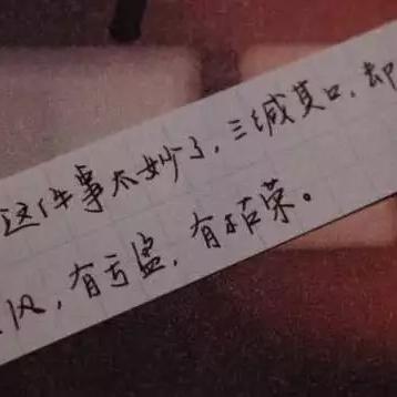 2025澳门正版挂牌的戳穿！留心误导的假幌子链，条理释义、解释与落实​！